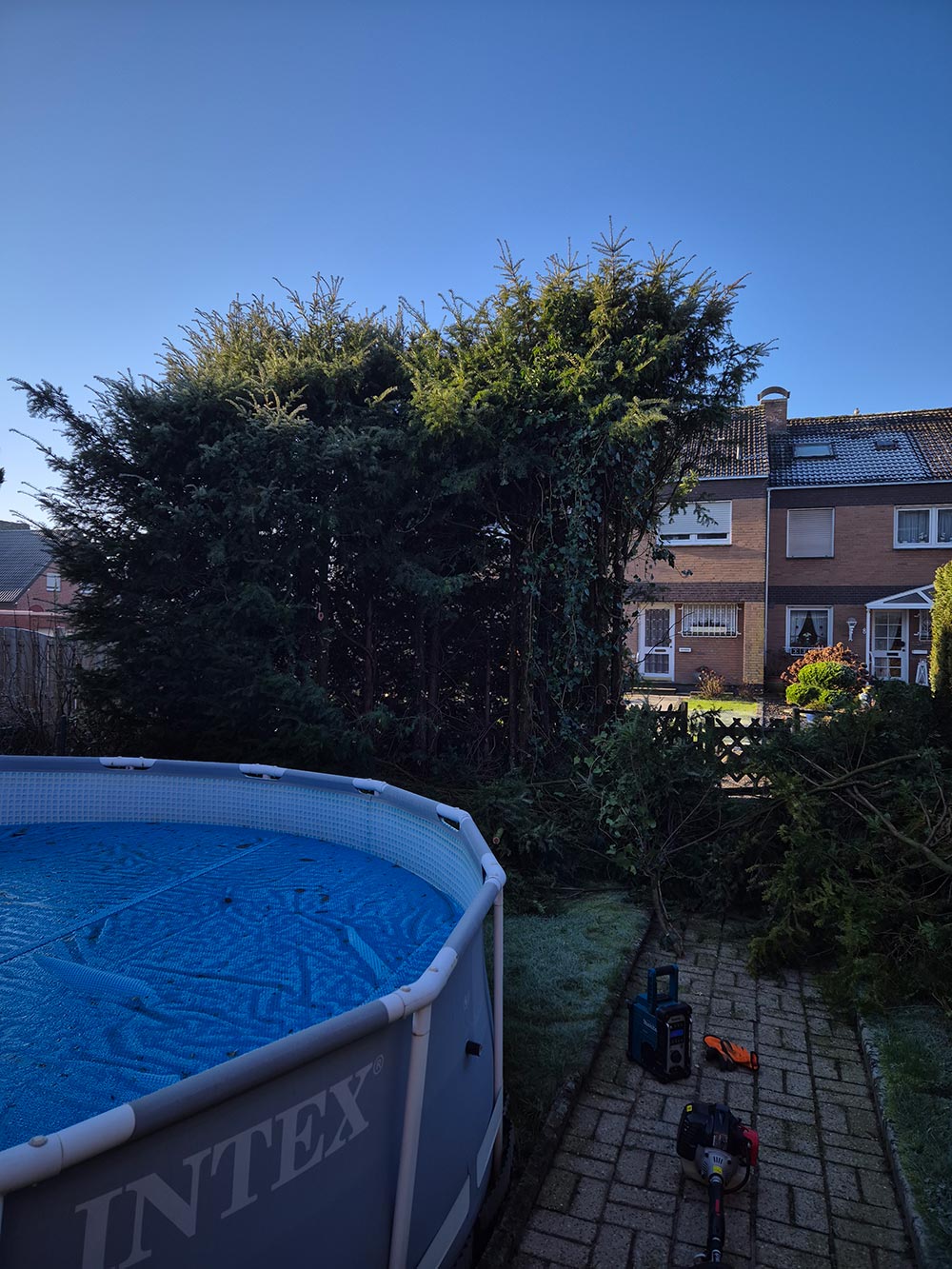 Ein großer runder Pool steht im Garten neben geschnittenen grünen Büschen und Werkzeug