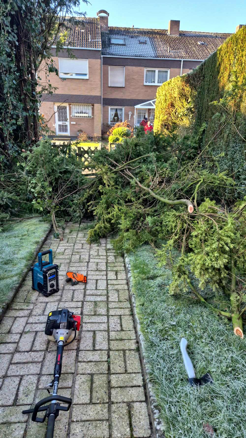 Ein frisch gefallener Baum blockiert einen gepflasterten Gartenweg mit Werkzeug davor