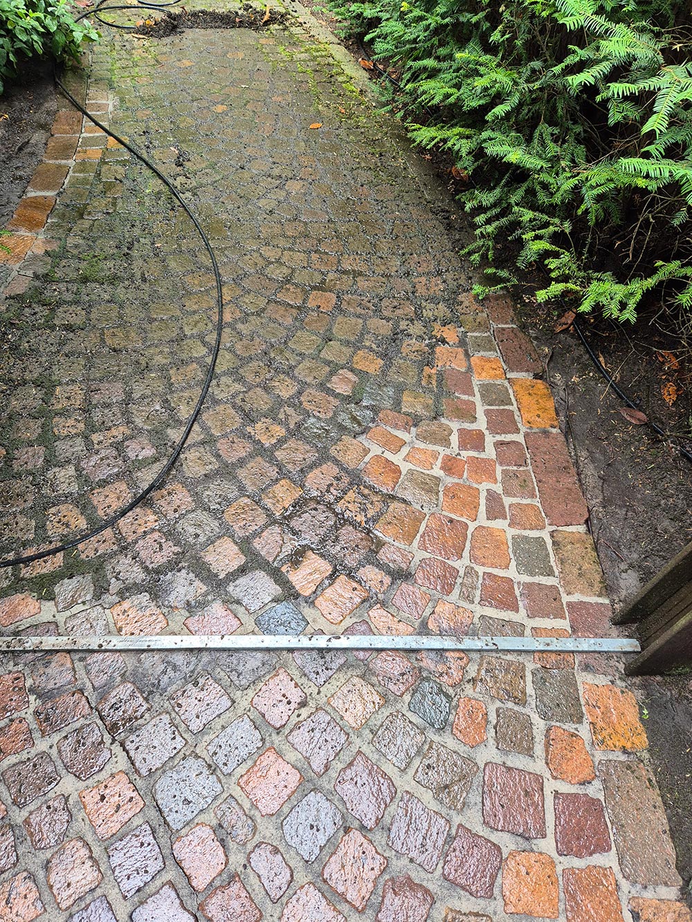 Nasses Kopfsteinpflaster mit verschiedenen Brauntönen und einem schwarzen Schlauch